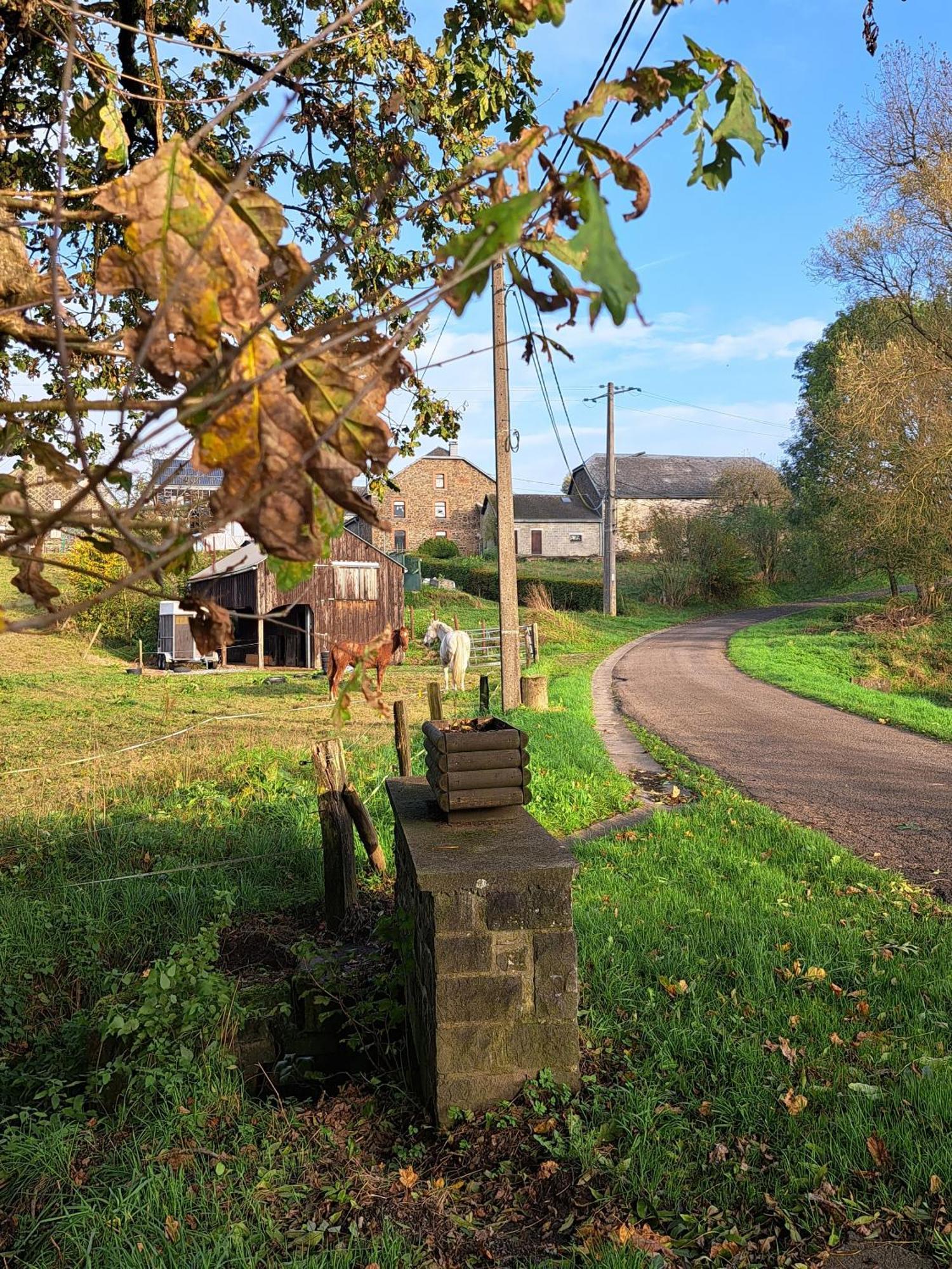 Gîte al fontaine La-Roche-en-Ardenne Extérieur photo